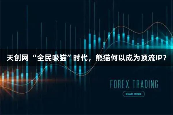 天创网 “全民吸猫”时代，熊猫何以成为顶流IP？