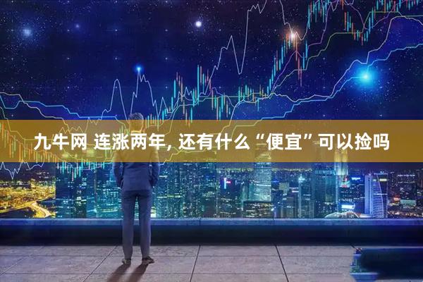 九牛网 连涨两年, 还有什么“便宜”可以捡吗